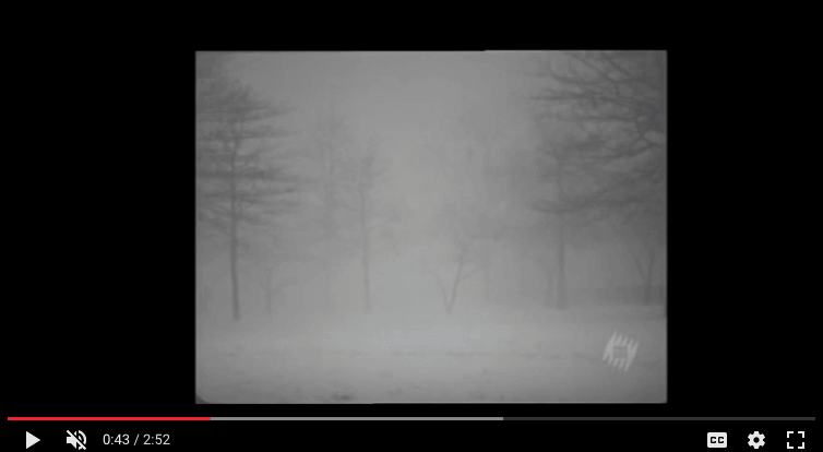 Screen Shot 2017-06-07 at 5.29.37 PM